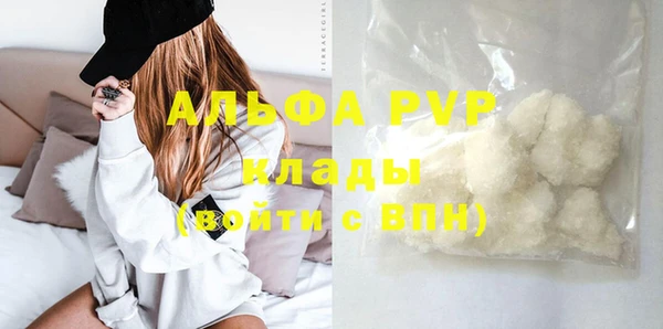 СК Коряжма