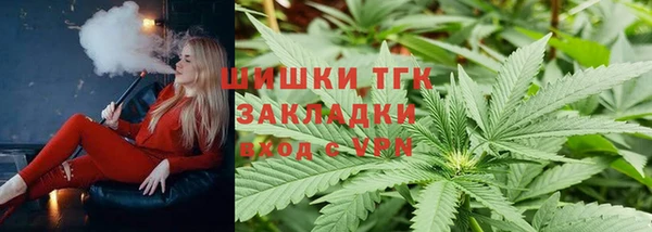СК Коряжма