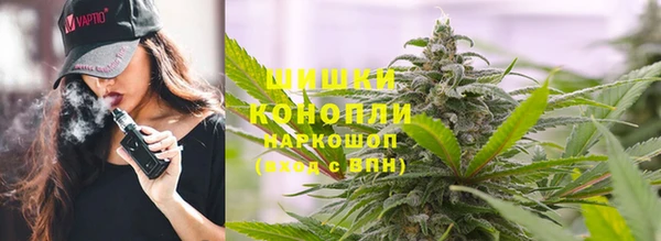 ALPHA PVP Костерёво