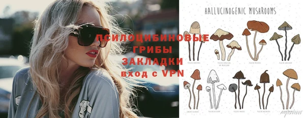 ALPHA PVP Костерёво