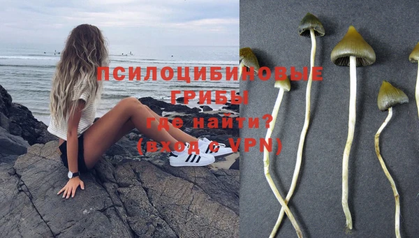 a pvp Краснослободск