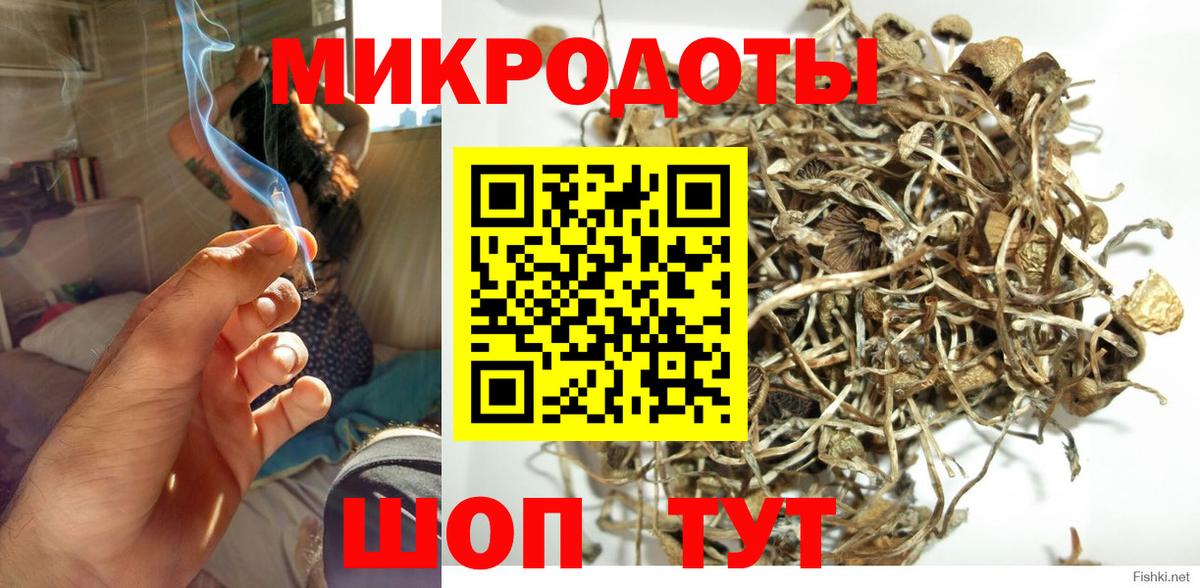 Галлюциногенные грибы ЛСД  Вход с VPN  Междуреченск 